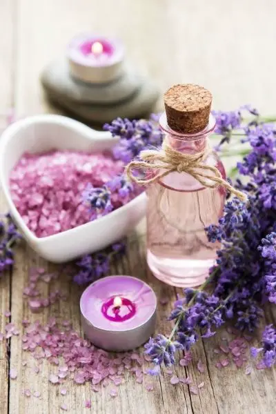 Essential Oils for School