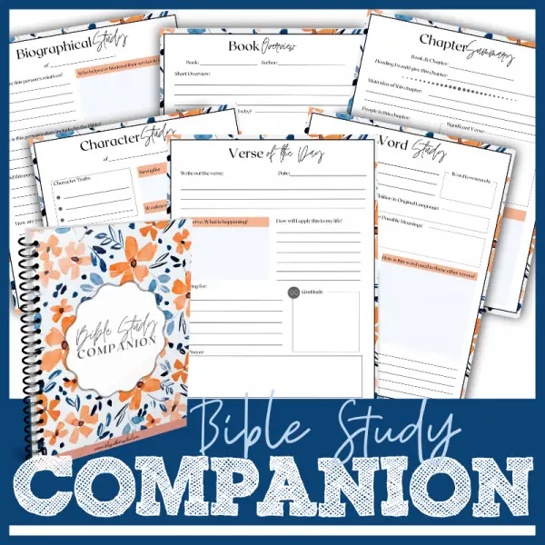 Bible Study Companion