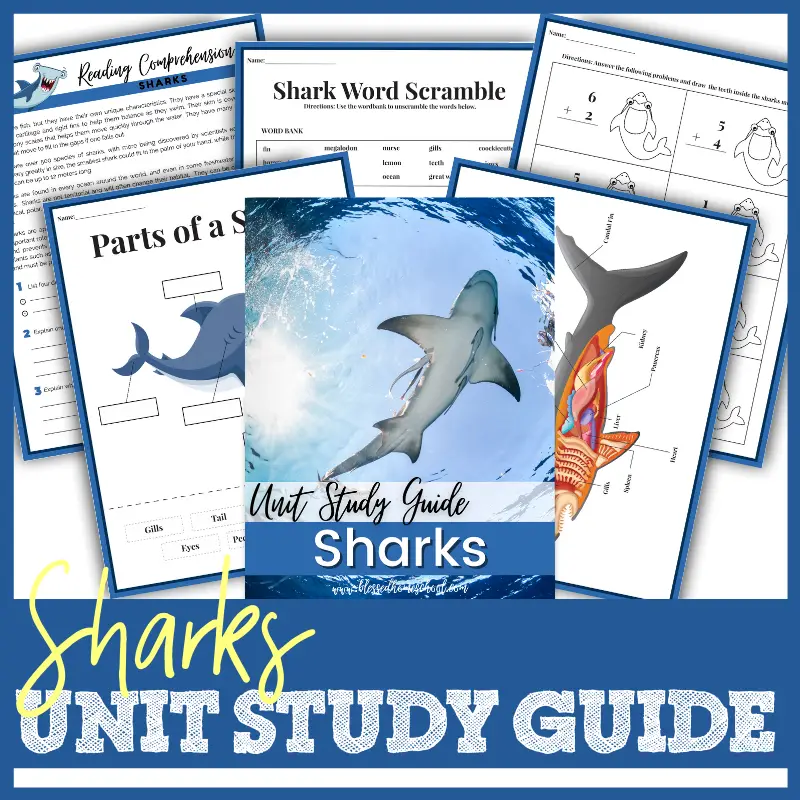 Guide SHARK