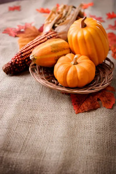 Free Pumpkin Printables for Elementary Students