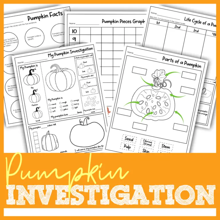 FREE Pumpkin Investigation Activity - Blessed Homeschool