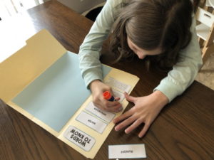 Easy Water Cycle Project and Printable Lapbook Template