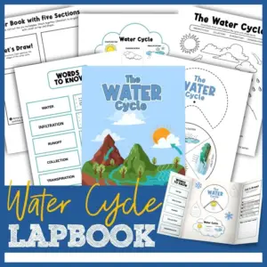 Water Cycle Lapbook - Fun Water Cycle Project for Homeschool
