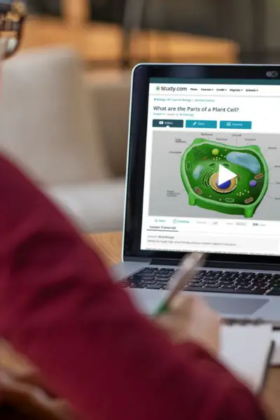 How Micro-Learning Keeps Children Engaged and Drives Results