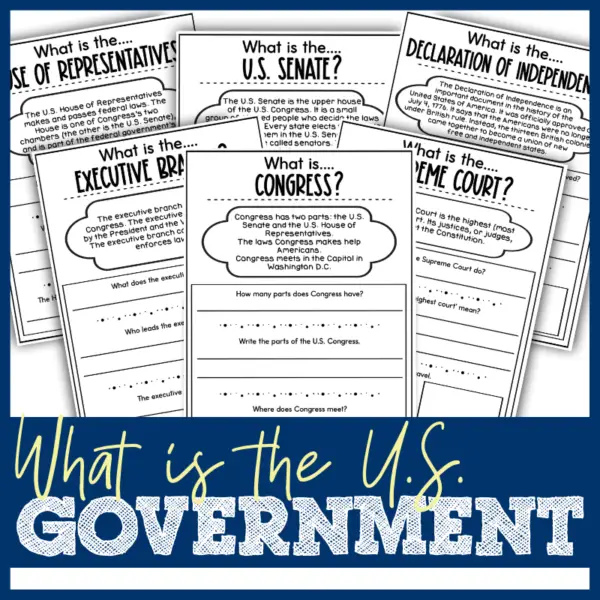 What is the US Government