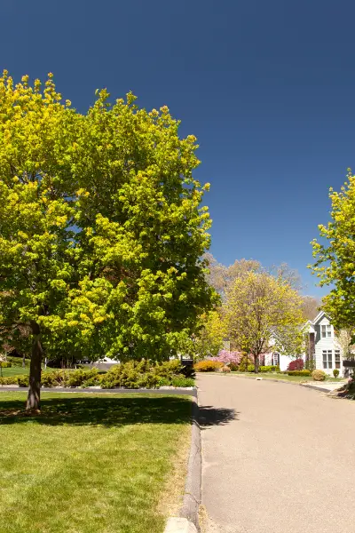 Homeschooling in Connecticut: The Requirements You Need to Know