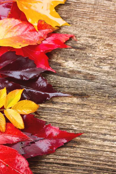 Inspire Reading with a Fall Reading Challenge + FREE Printable