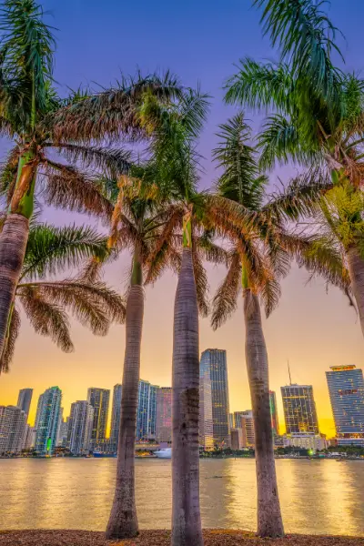 Homeschooling in Florida is Easy and Uncomplicated