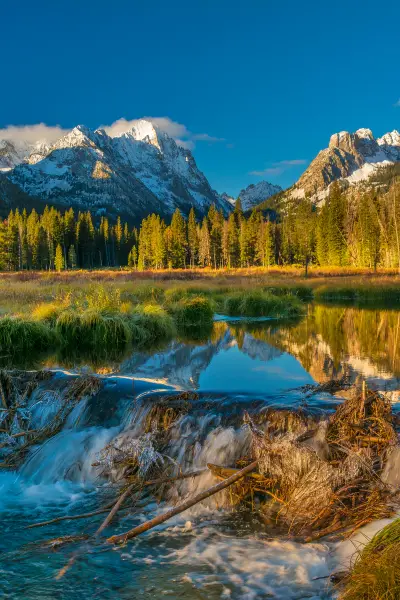 Idaho