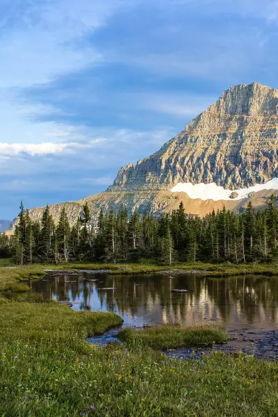 Montana