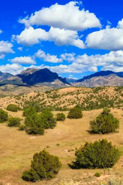 Homeschooling in New Mexico