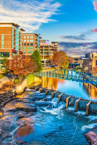 Homeschooling in South Carolina: Options, Opportunities, and Free Resources