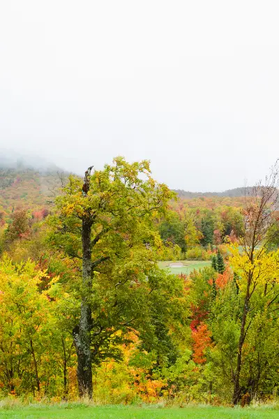 Homeschooling in Vermont: What You Need to Know