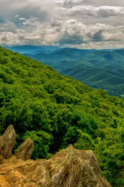 Homeschooling in Virginia: The Basics You Need to Know