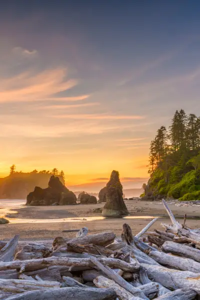 Homeschooling in Washington: Advice for Success