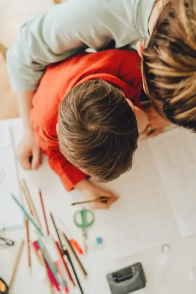How the Homeschool Collection Will Change Your Year