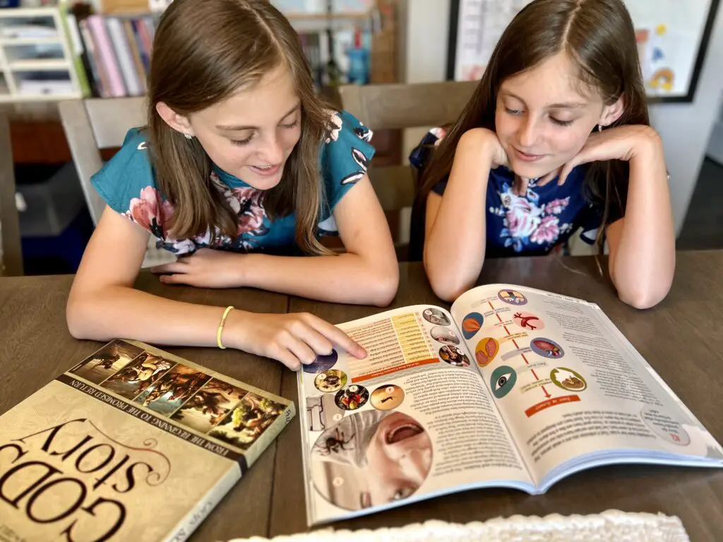 Master Books morning basket