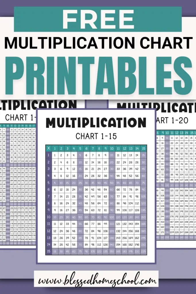 free multiplication chart printables
multiplication chart 1 15
multiplication chart 1 20
multiplication chart 1 30