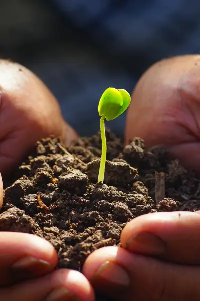 Homeschool Prayer Challenge Week 24: Good Soil
