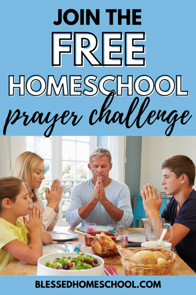 In the midst of homeschool planning—curriculum choices, schedules, and checklists—it’s easy to overlook something even more important: planning for peace. From setting the tone in our homes to teaching our children how to pursue peace with others, here's some encouragement and practical tips to help you cultivate a peaceful homeschool environment rooted in God’s Word.