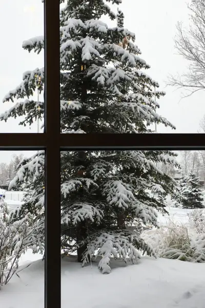 7 Proven Ways to Beat the Winter Homeschool Blues